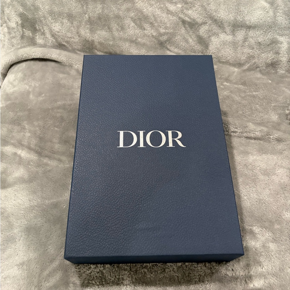 Dior Gray Hoodie